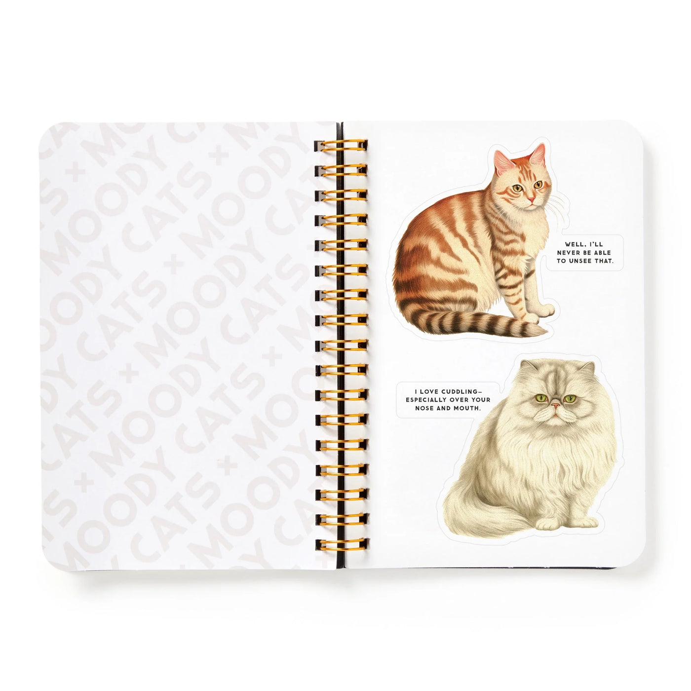 New Mags | Moody Cats Stickerboek