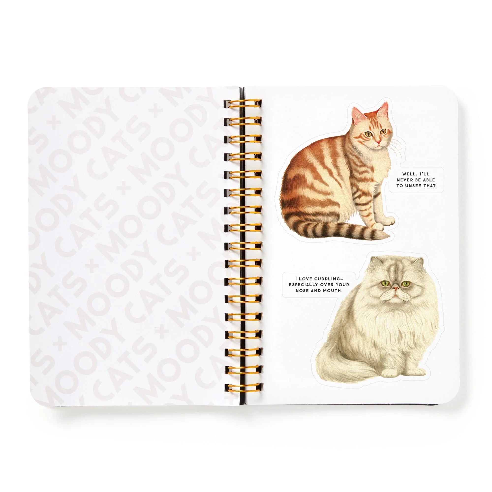 New Mags | Moody Cats Stickerboek
