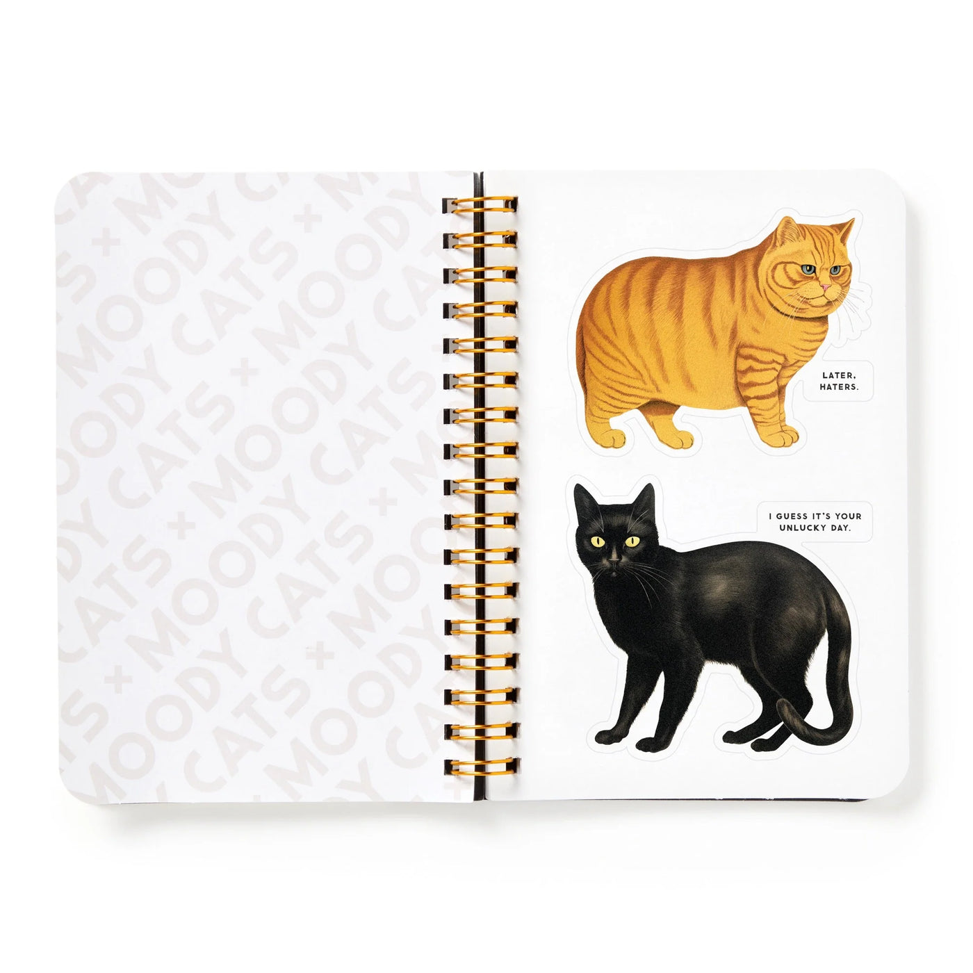 New Mags | Moody Cats Stickerboek