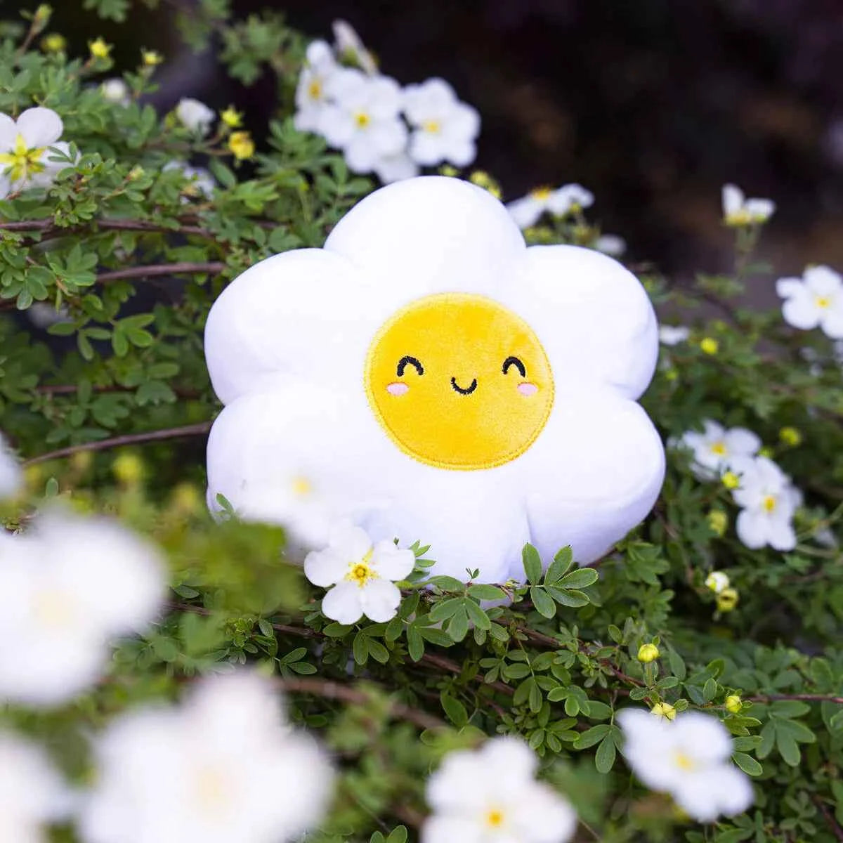 Legami | Daisy Plush - Mini Super Soft!