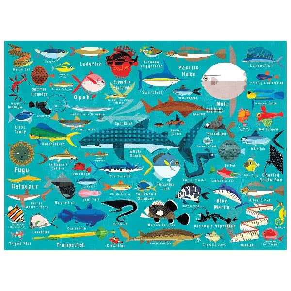 Mudpuppy puzzel Ocean life 1000 stukjes