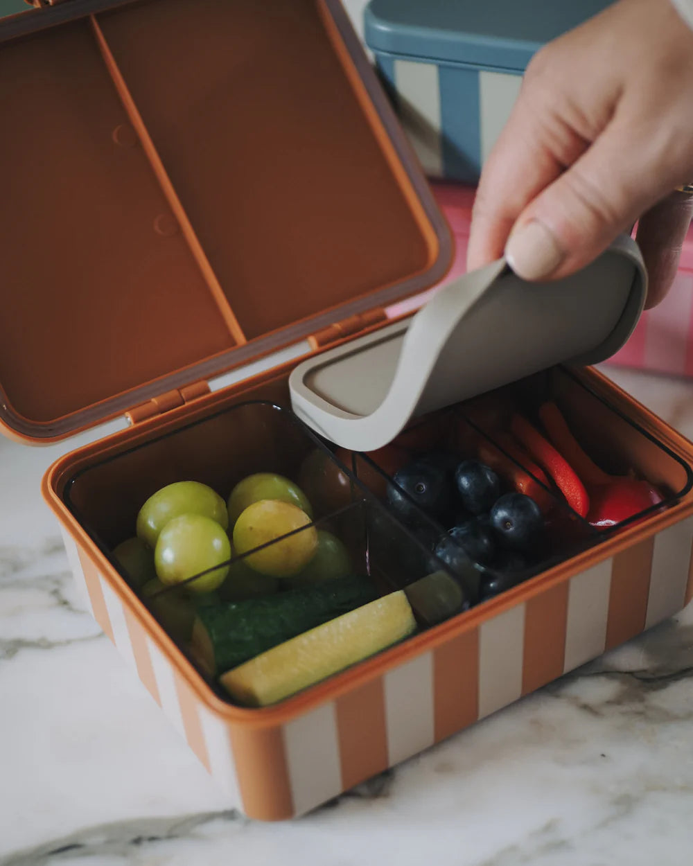 Noui Noui | lunchbox mustard