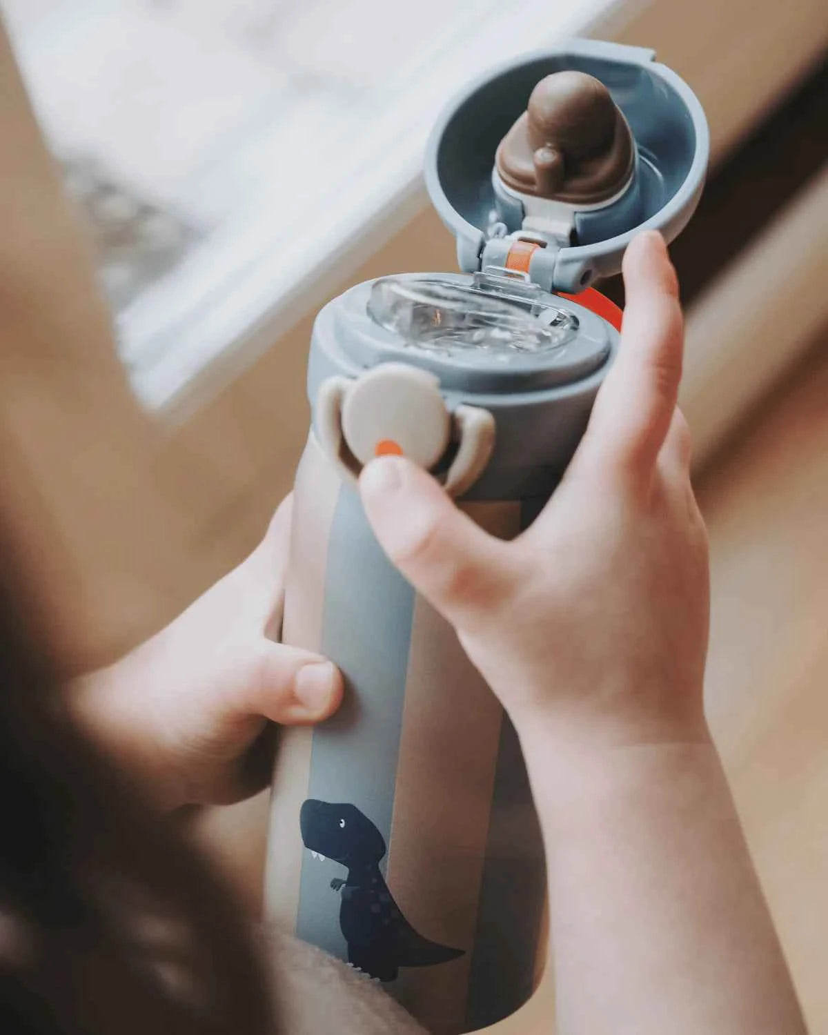 Noui Noui | Isothermische Fles RVS Dino 350ml