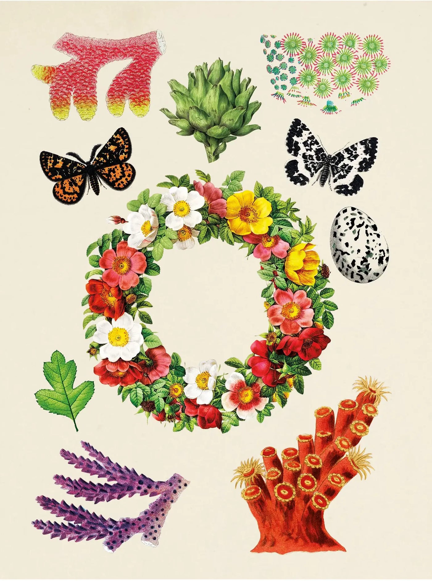 New Mags | Het Antieke Stickerboek