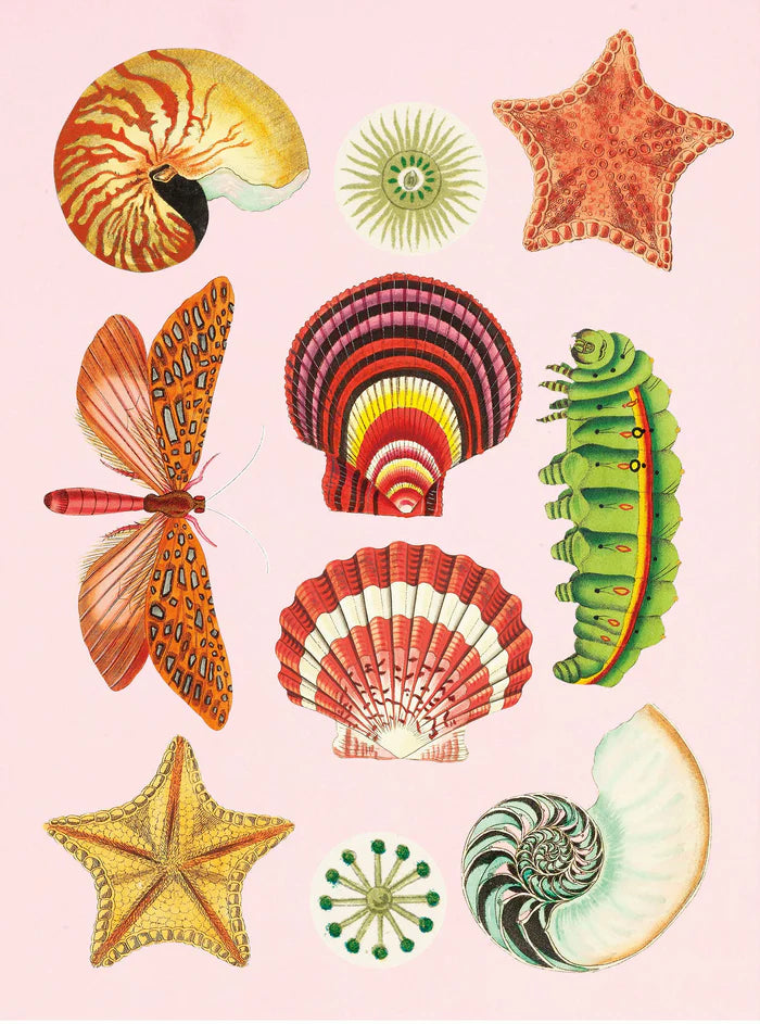 New Mags | Het Antieke Stickerboek