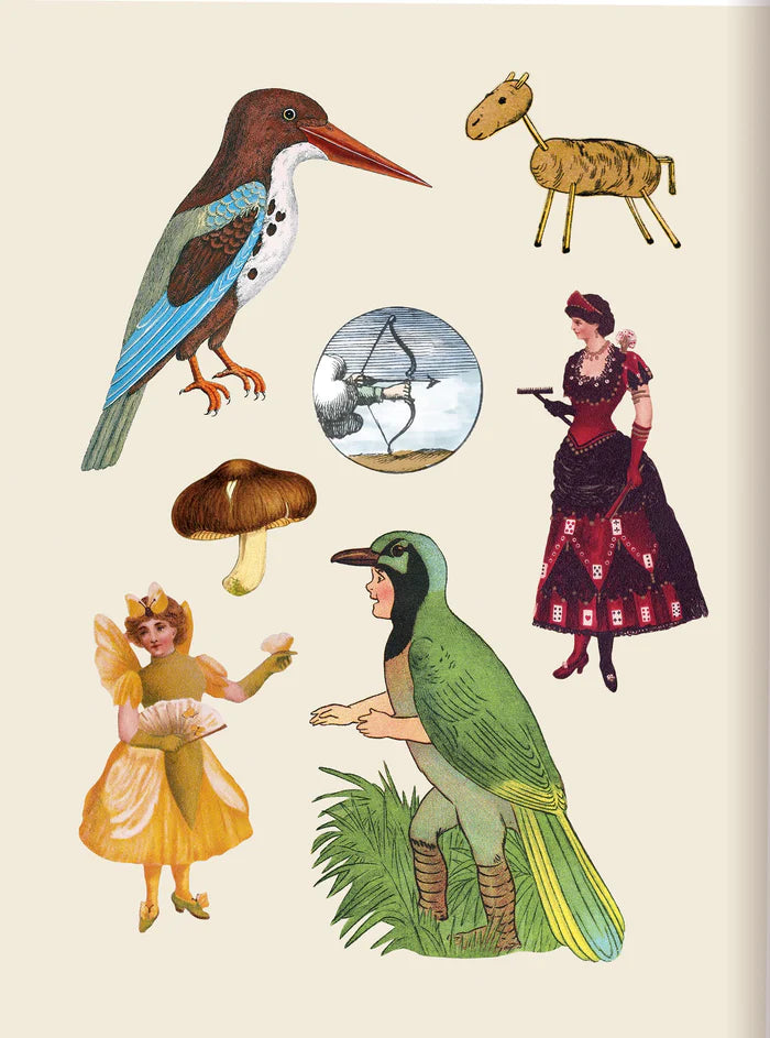 New Mags | Het Antieke Stickerboek Bibliophilia
