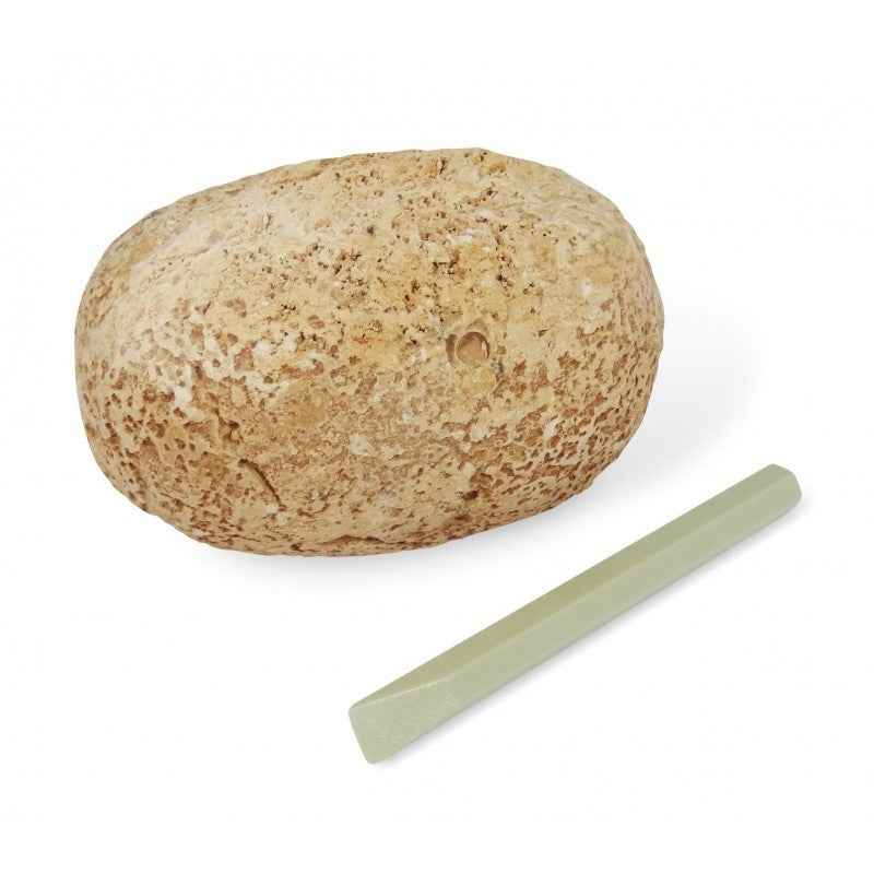 Buki | Dino Eggs