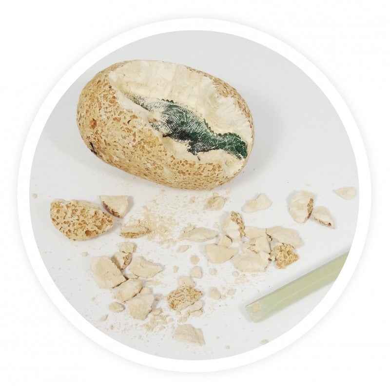 Buki | Dino Eggs