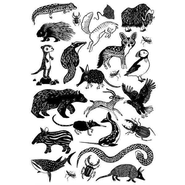 Petit Monkey tattoos Black Animals +3jr