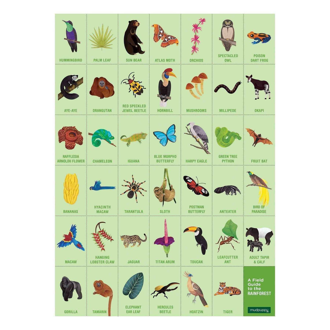 Mudpuppy | Zoek En Vind Puzzel  Regenwoud 64 Stuks