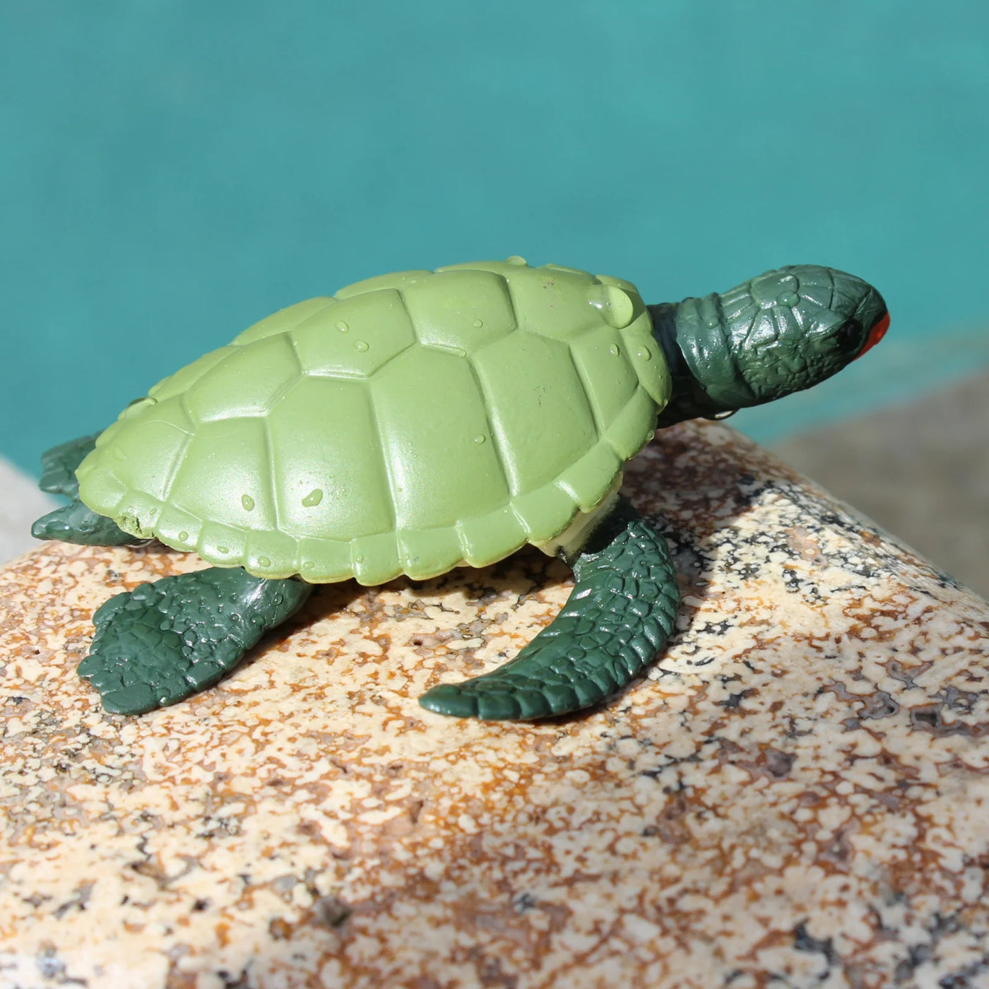Safari Ltd. | Levenscyclus Van Een Groene Zeeschildpad