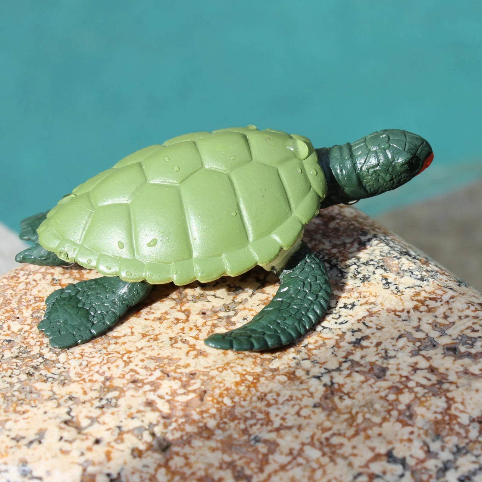 Safari Ltd. | Levenscyclus Van Een Groene Zeeschildpad