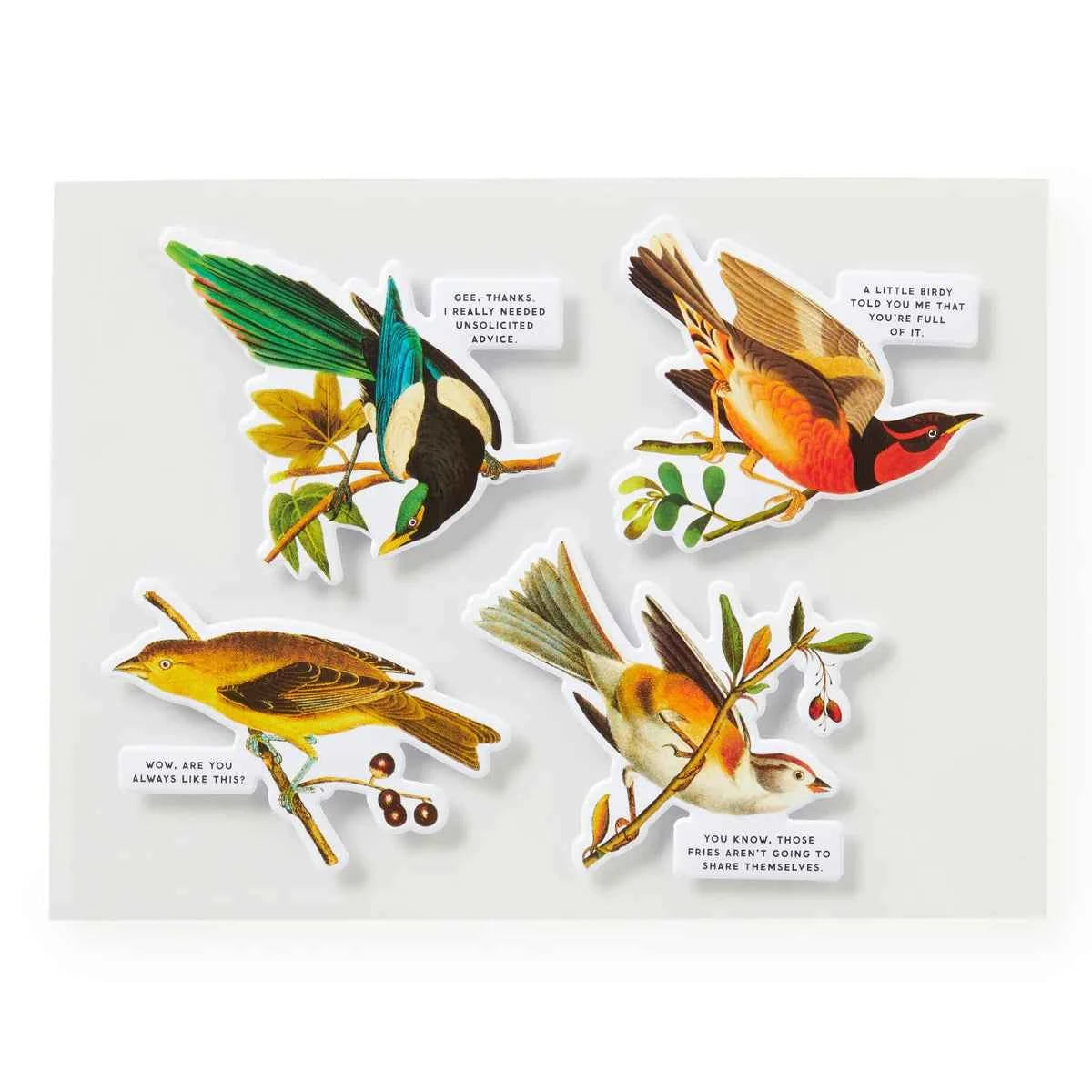 New Mags | Legpuzzel Salty Birds 1000 Stukjes