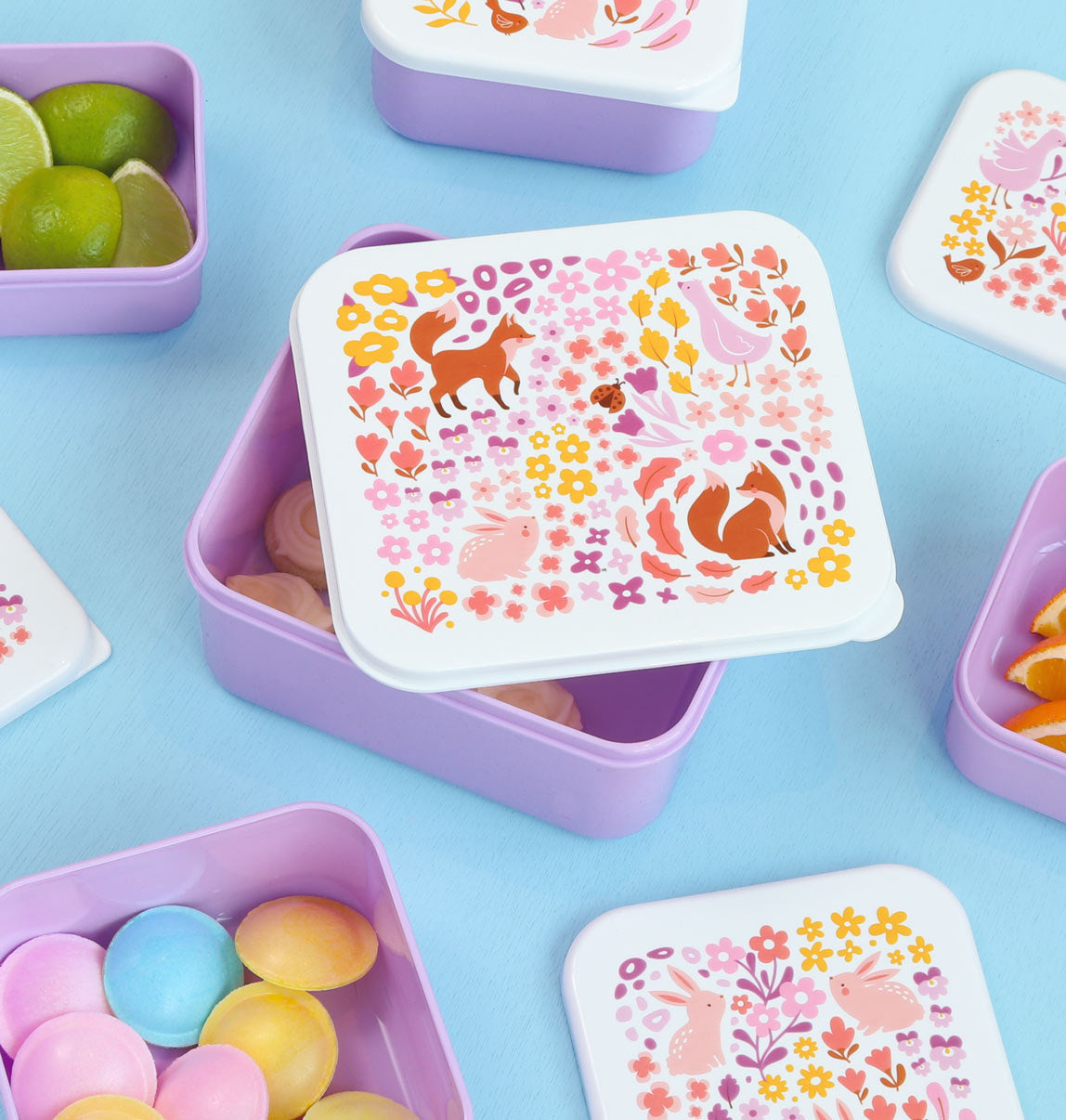 A Little Lovely Company | Lunch & Snack Box Set Bloementuin