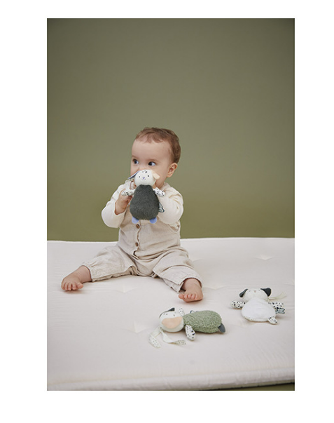 Kaloo | Set Van 3 Zintuiglijke Puppy Knuffels Voor Baby's