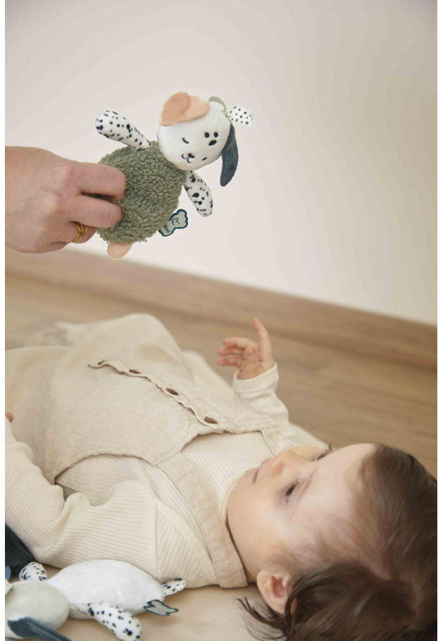 Kaloo | Set Van 3 Zintuiglijke Puppy Knuffels Voor Baby's