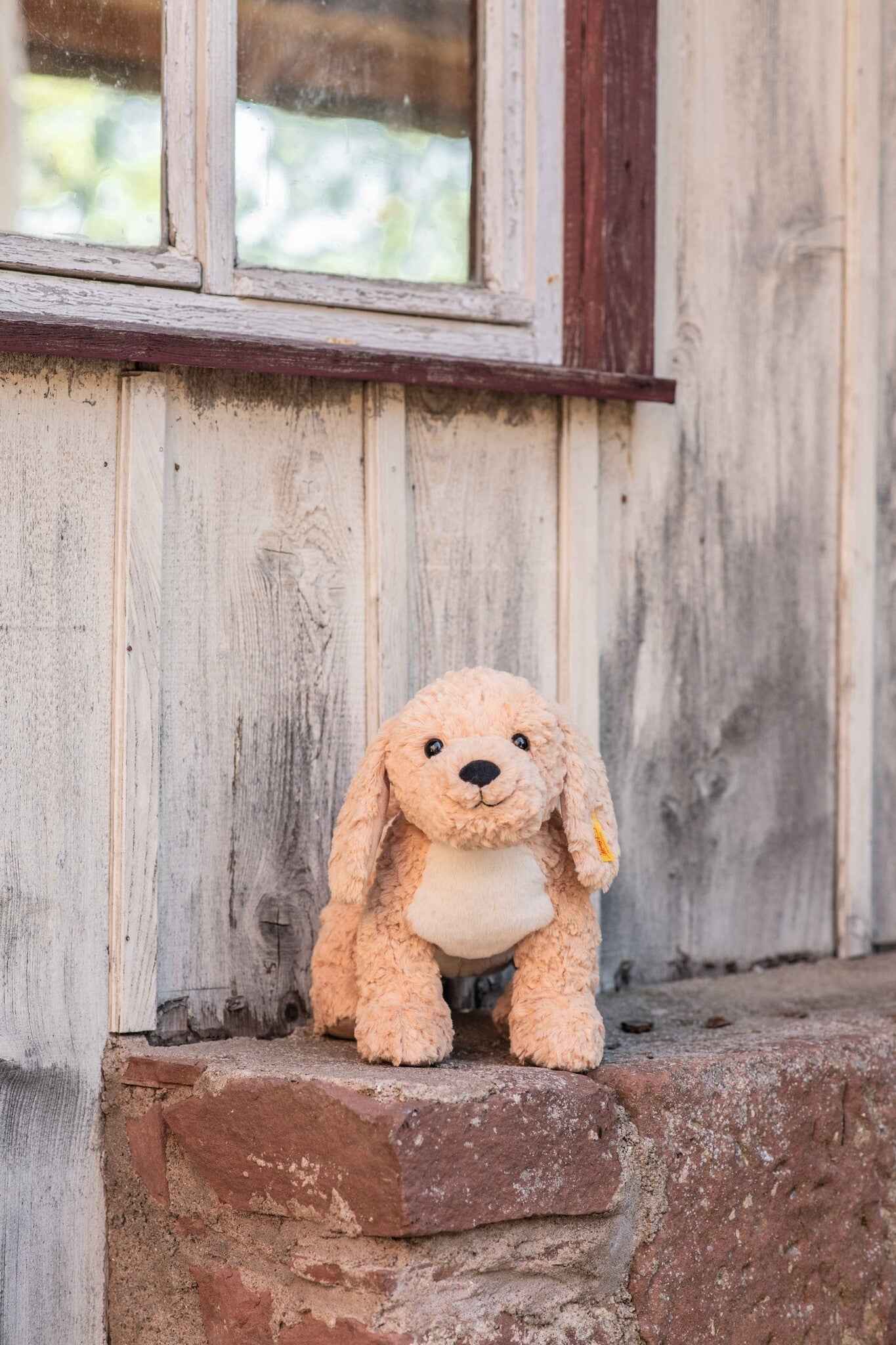 Steiff | Berno Goldendoodle 36cm Beige