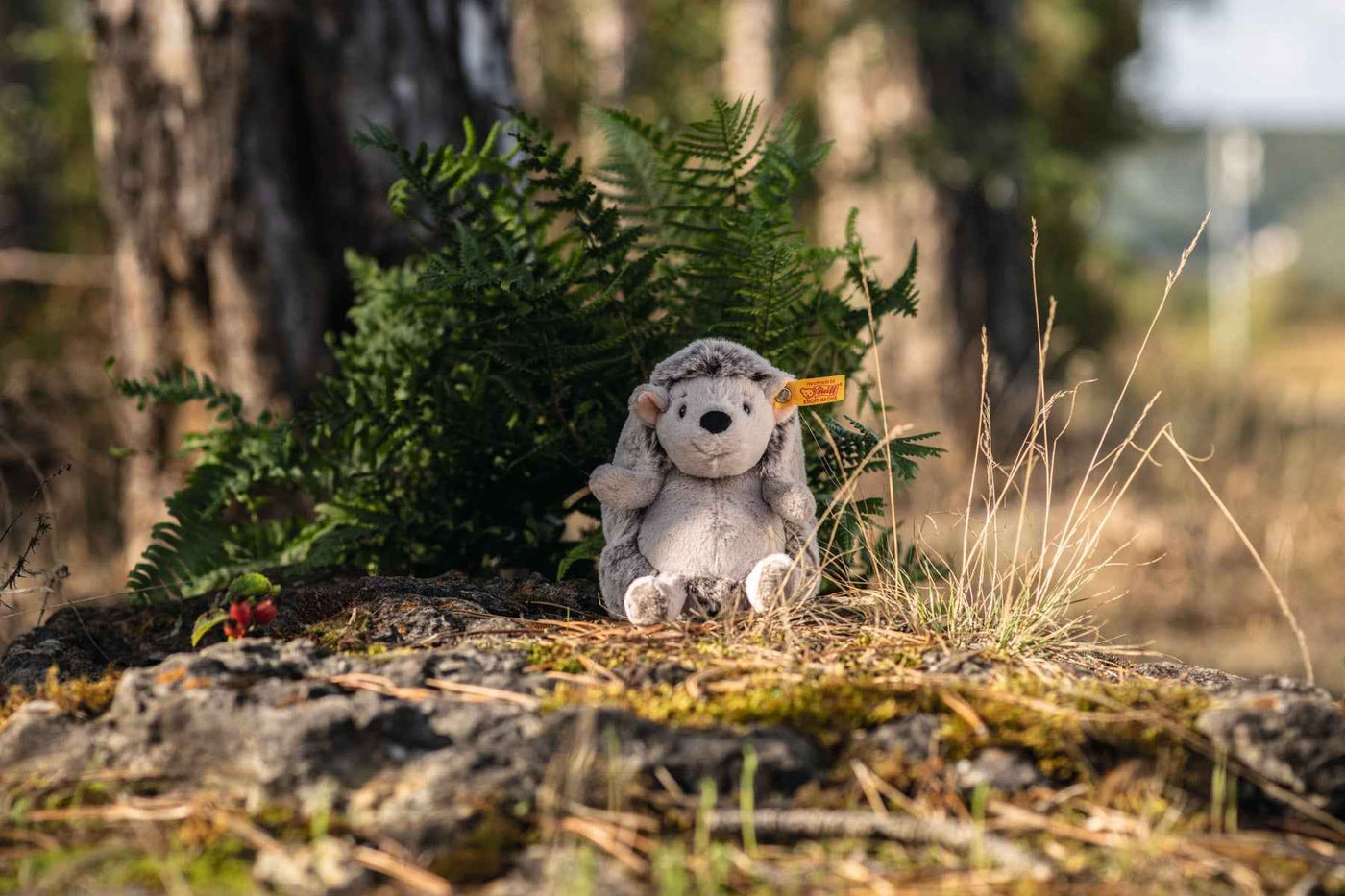 Hedgy hedgehog 16 grey