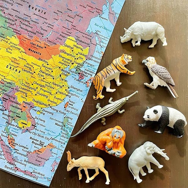 Safari Ltd. | Speelfiguren Antarctica Dieren