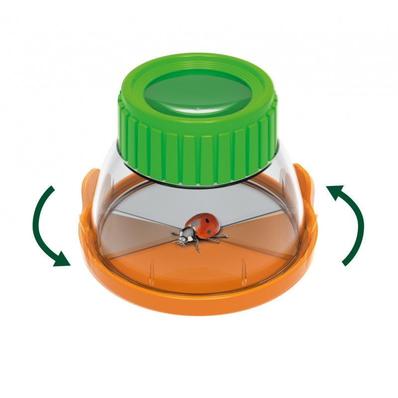 Buki | Terrarium