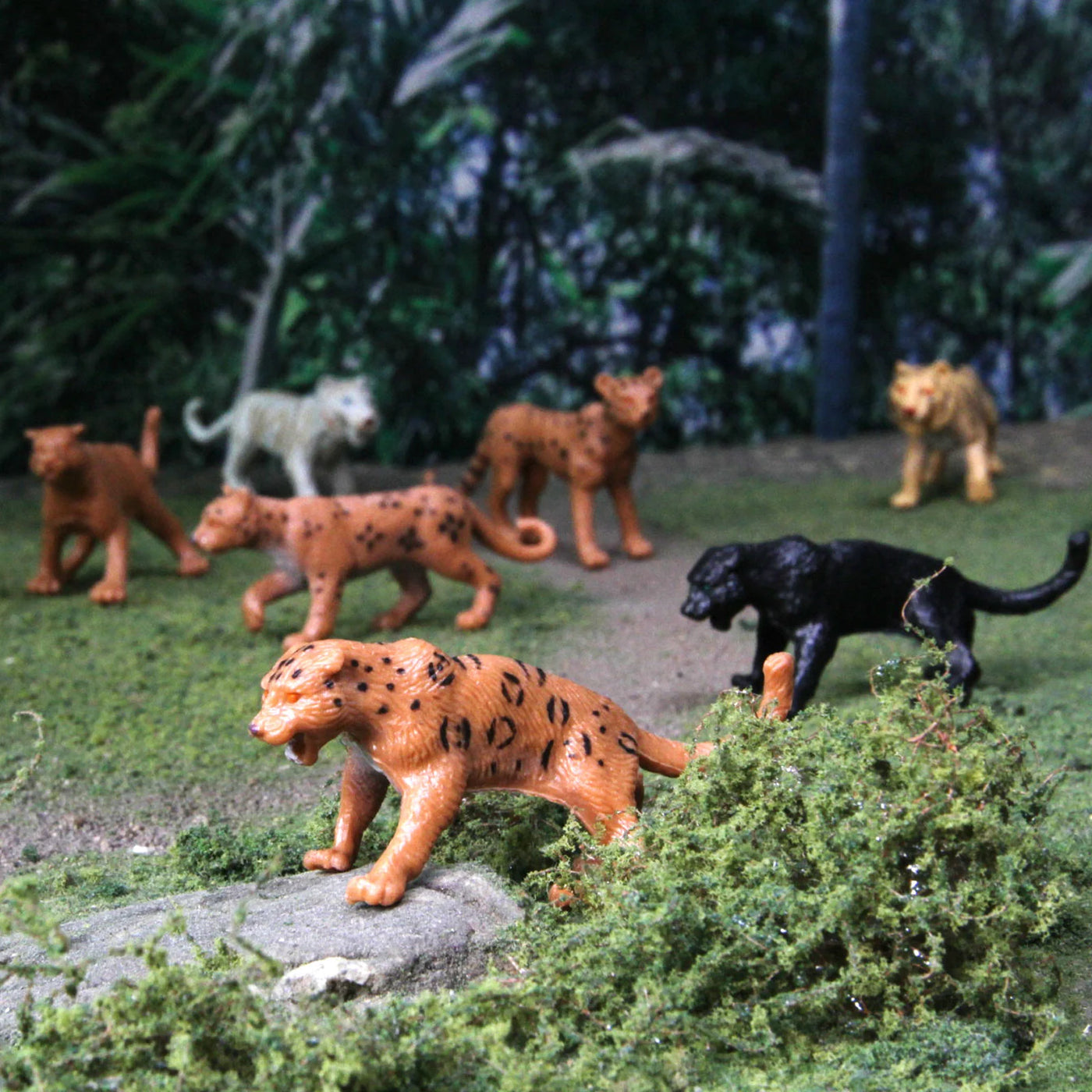 Safari Ltd. | Speelfiguren Grote katachtigen