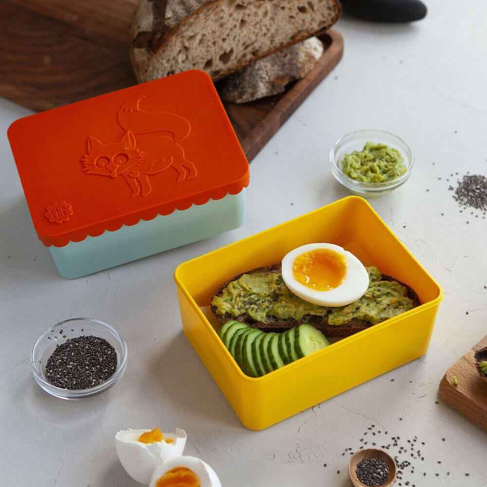 Blafre | Lunchbox Met 1 Compartiment Papegaaiduiker Perzik + Marineblauw