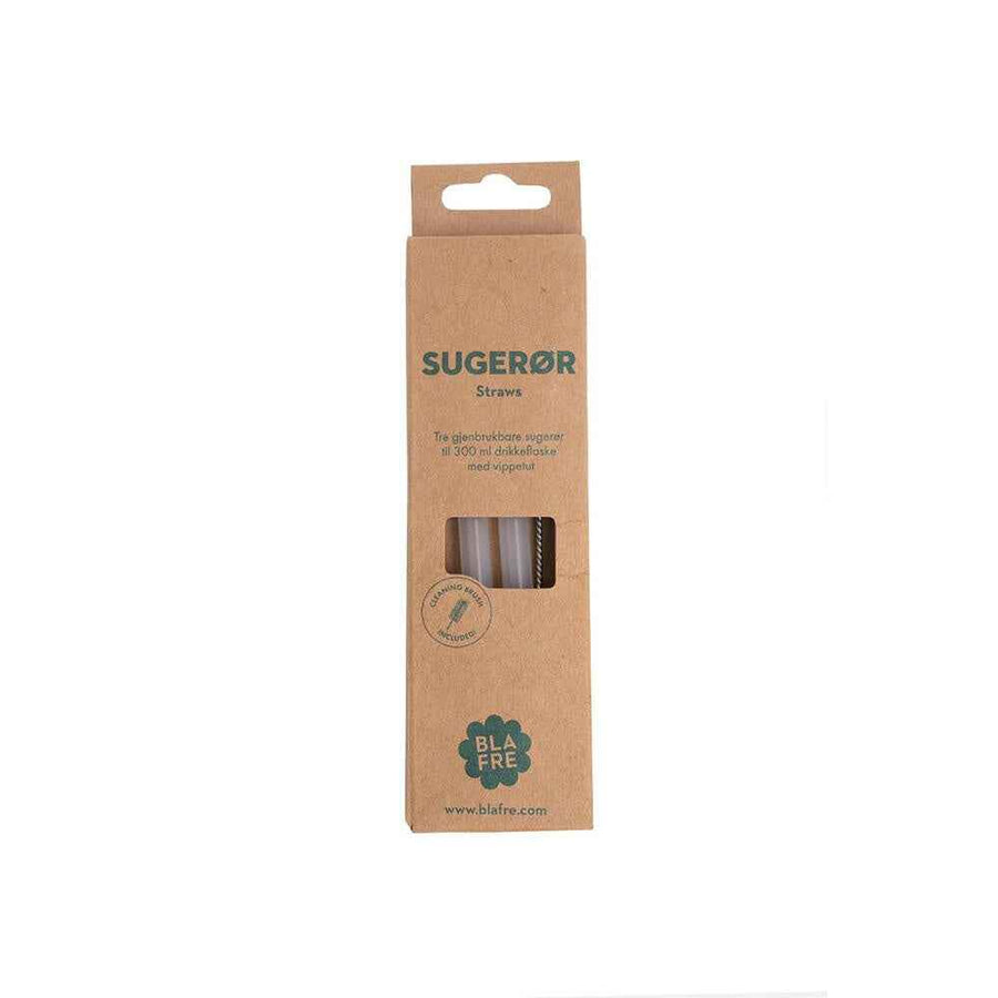 Blafre | 3 Rietjes Voor Drinkbus 300 ml