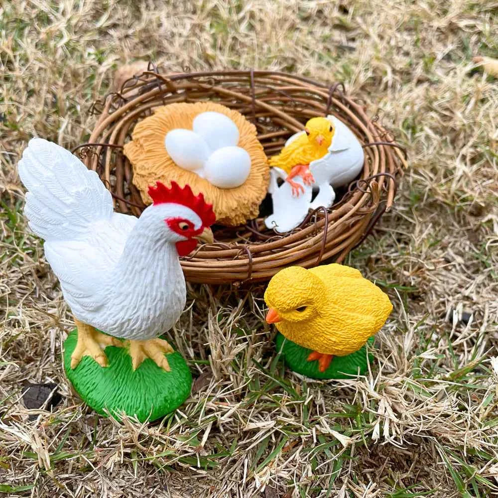 Safari Ltd. | Life Cycle of a Chicken
